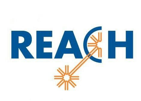 消毒产品REACH检测办理流程 